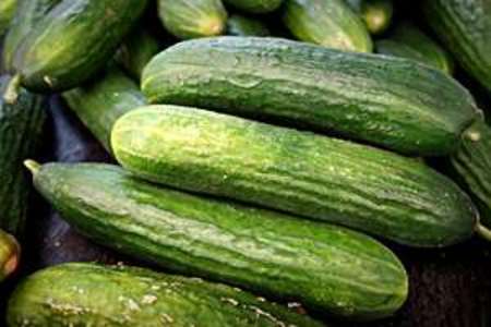 Left or right how to grow cucumbers pixabay