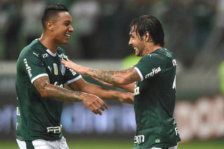 Left or right palmeiras25 1024x682